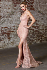 Long Formal Fitted Glitter Lace Prom Dress